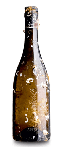 Attis Mar Albariño 2023