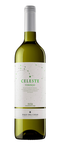 Celeste Verdejo 2024