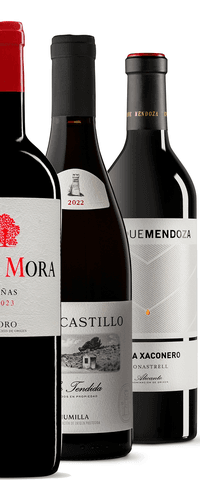 Colección vinos de Toro y Levante