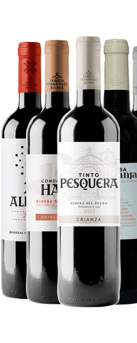 Colección Grupo Pesquera 2025