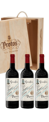 Protos 27 2022