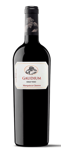 Gaudium 2020