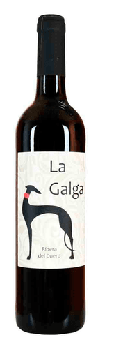 La Galga 2023