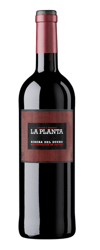 La Planta Mágnum 2023