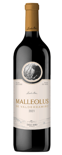 Malleolus de Valderramiro 2021