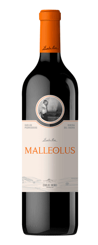 Malleolus 2022