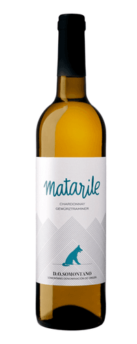 Matarile Blanco 2024