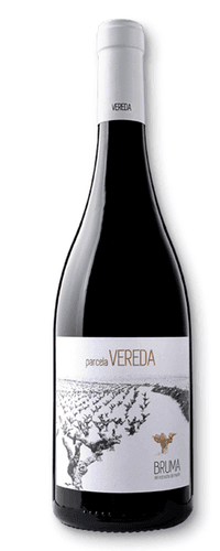 Bruma del Estrecho de Marín Parcela Vereda 2022