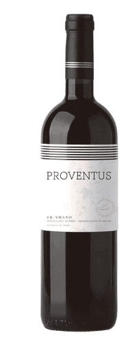 Proventus 2020