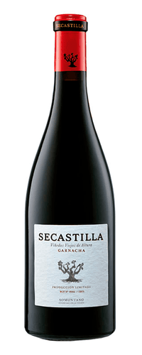 Secastilla 2019