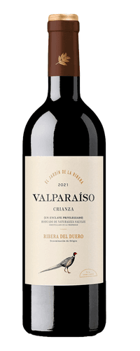 Valparaíso Crianza 2021