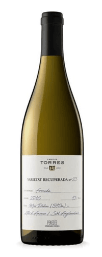 Torres – Forcada 2016
