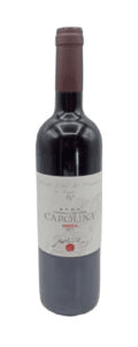 Jakončić Carolina Rdeča 2019