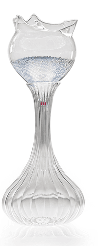 Decanterino Patented Wine Tasting Revolution