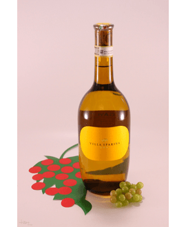 Villa Sparina Gavi Del Comune Di Gavi Gavi Di Gavi 2017 Toledana Winebuyers