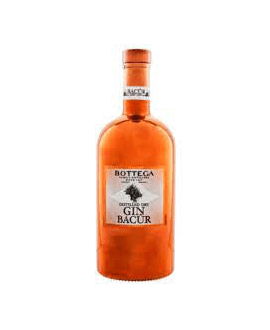 Nordes Atlantic Galician Gin 40% Winebuyers 1L Vol. 