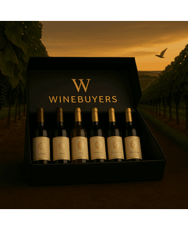 Premium Subscription Case